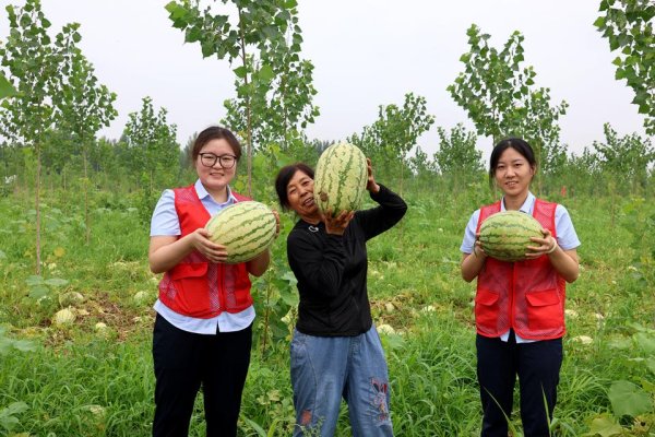 股市配资官网网址 利津农商银行：三岔的西瓜“熟了”