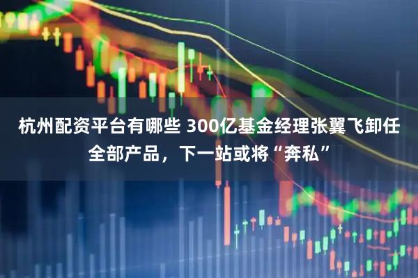 杭州配资平台有哪些 300亿基金经理张翼飞卸任全部产品，下一站或将“奔私”