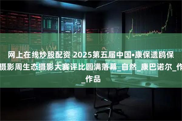 网上在线炒股配资 2025第五届中国•康保遗鸥保护摄影周生态摄影大赛评比圆满落幕_自然_康巴诺尔_作品